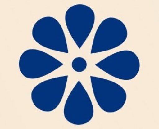 bsa-logo-icon